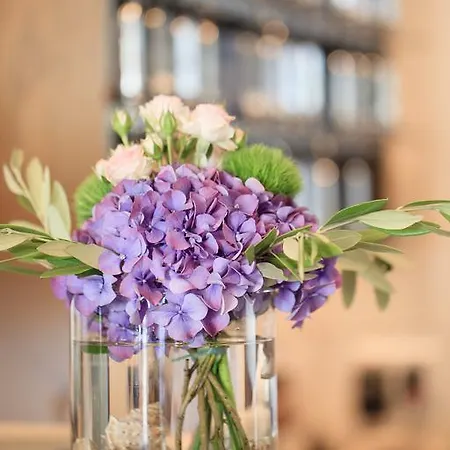 酒店 弗拉兹卡内酒店 维尔茨堡