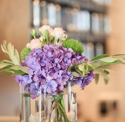 호텔 프란치스카너 뷔르츠부르크